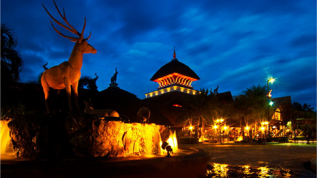 chiangmai night safari at night