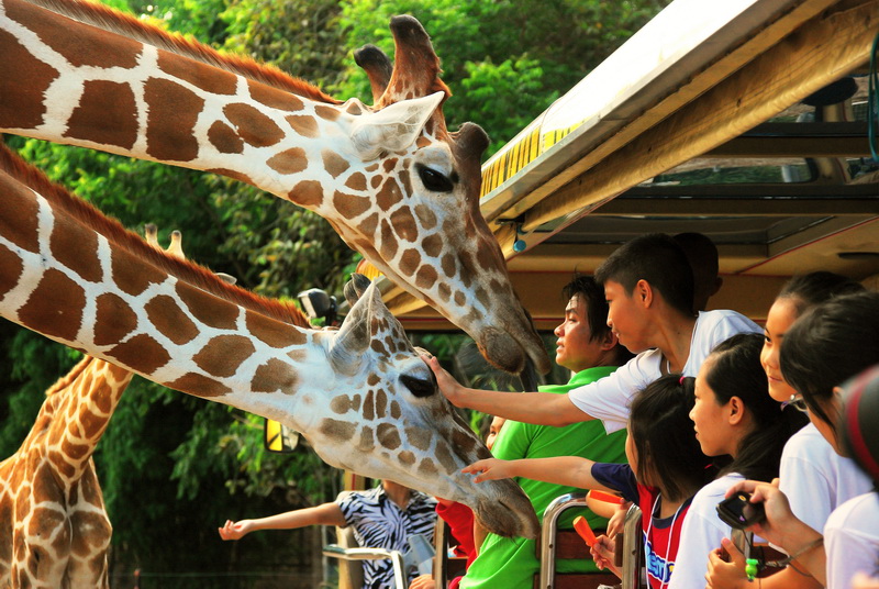 Chiang Mai Night Safari ตอนกลางวัน