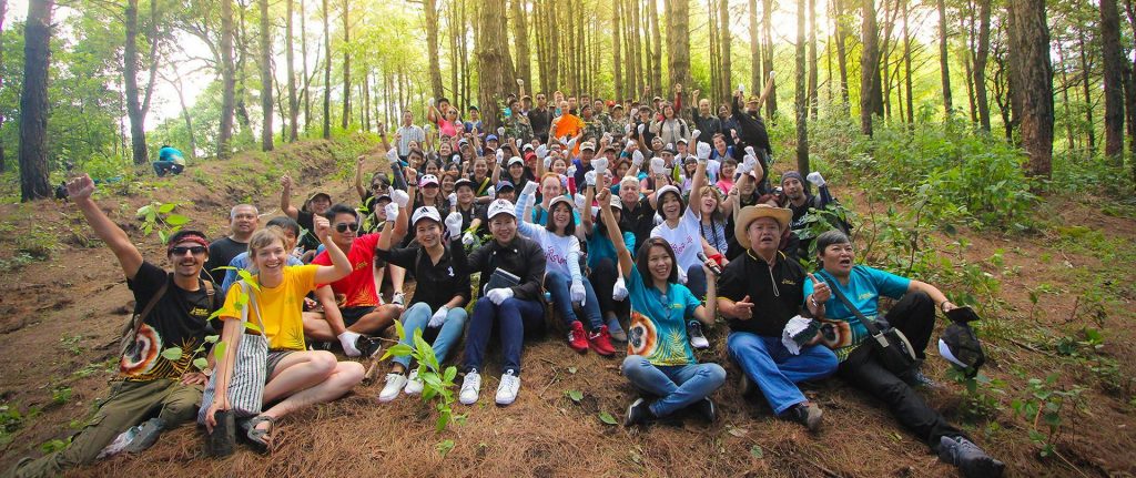 โครงการปลูกป่า