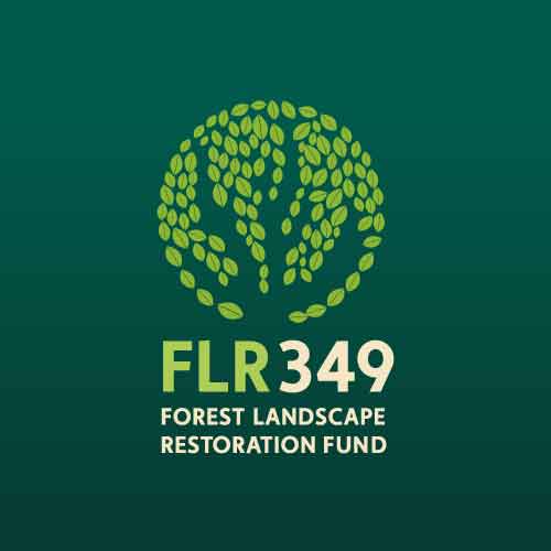 logo FLR349